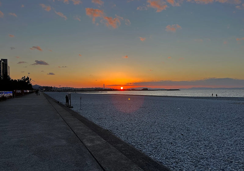 Soramitsu EX Mountain Oliver