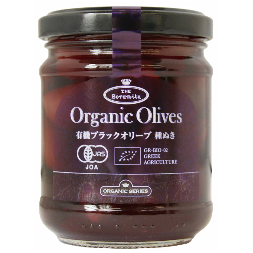 モジュラリー　リーフブラック　１２枚入り 本革】 マジックテーププラットサンダル 6725 （ブラック） -モード