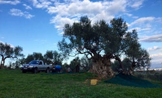 そらみつのこだわり