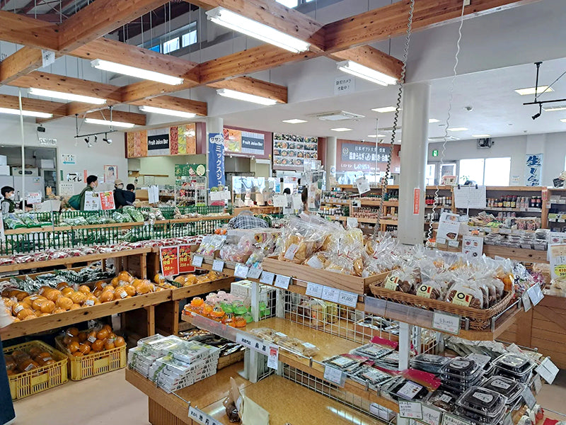 Soramitsu EX Mountain Oliver