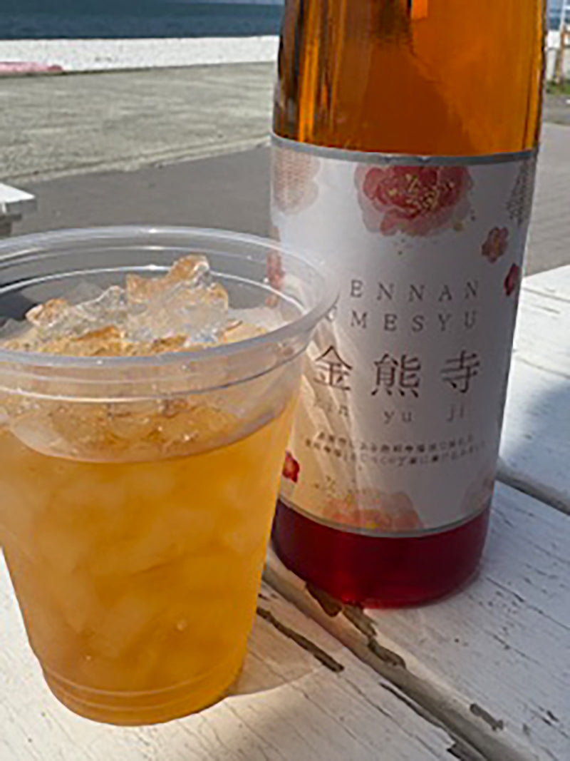 Soramitsu EX Mountain Oliver