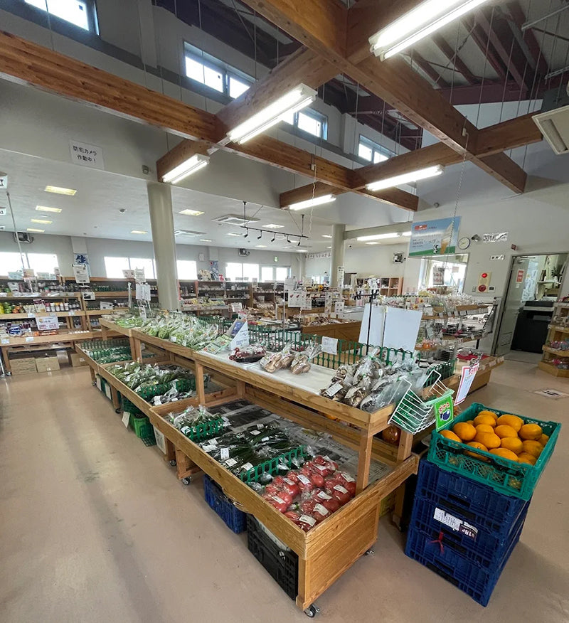 Soramitsu EX Mountain Oliver