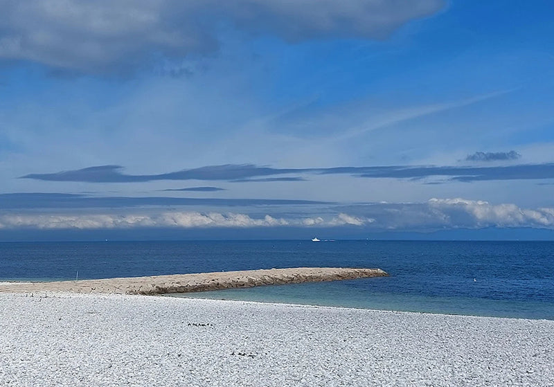 Soramitsu EX Mountain Oliver