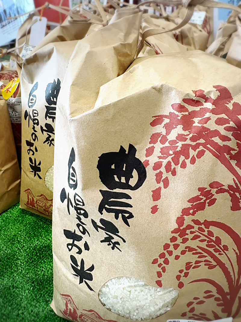 Soramitsu EX Mountain Oliver