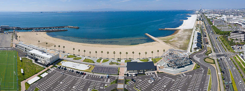 Soramitsu EX Mountain Oliver