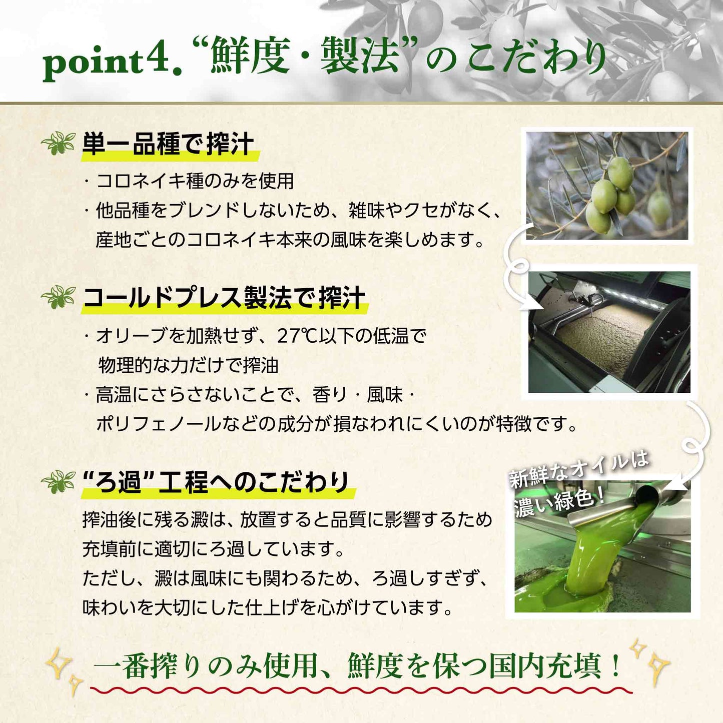 【 お試しセット - 送料無料 】EX海のオリーバ 229g、EX山のオリーバ 229g、バルサミコ250ml、グリーンオリーブ種ぬき、ハーブミックスforミート【 １お届け先に１つのお試し価格 】