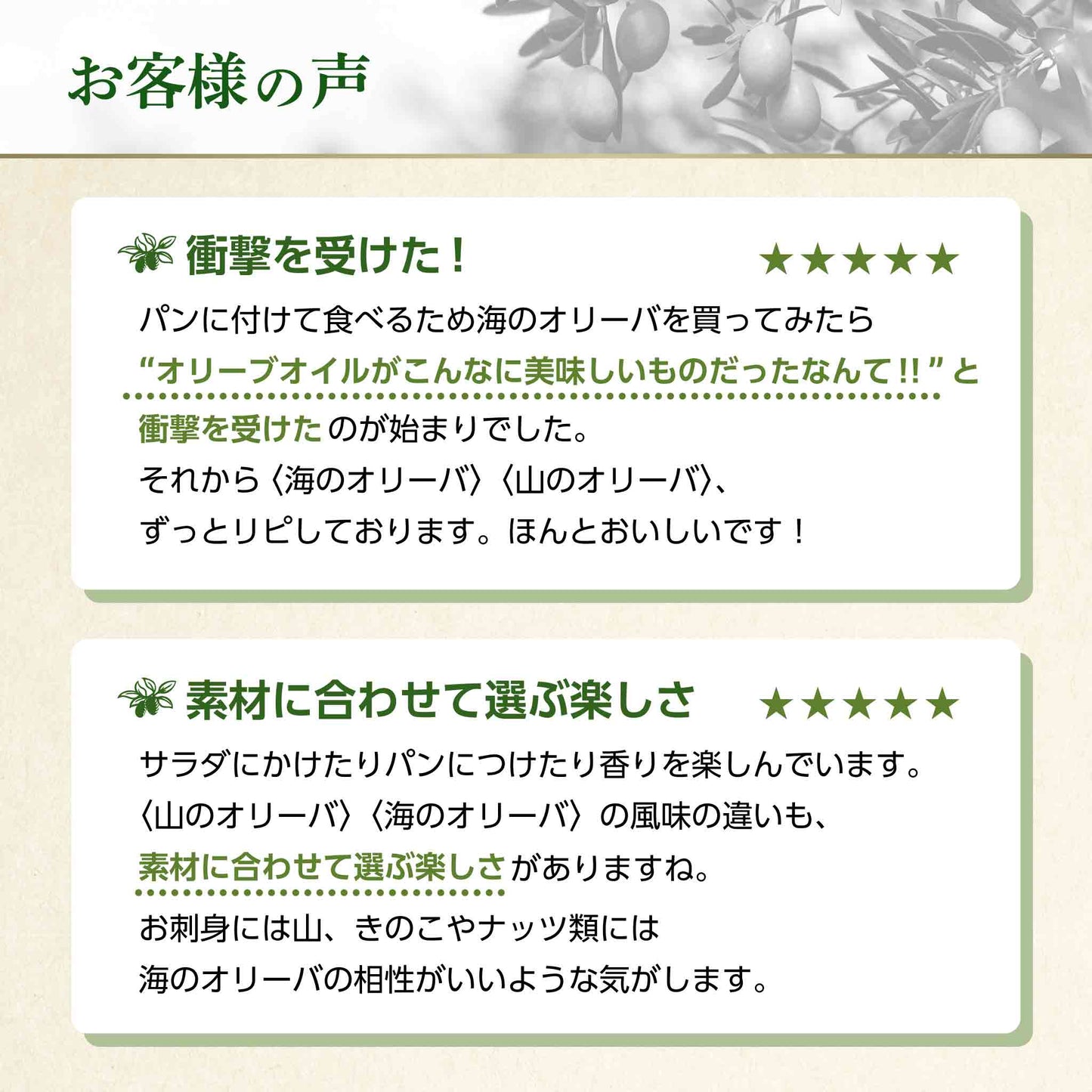 【 お試しセット - 送料無料 】EX海のオリーバ 229g、EX山のオリーバ 229g、バルサミコ250ml、グリーンオリーブ種ぬき、ハーブミックスforミート【 １お届け先に１つのお試し価格 】