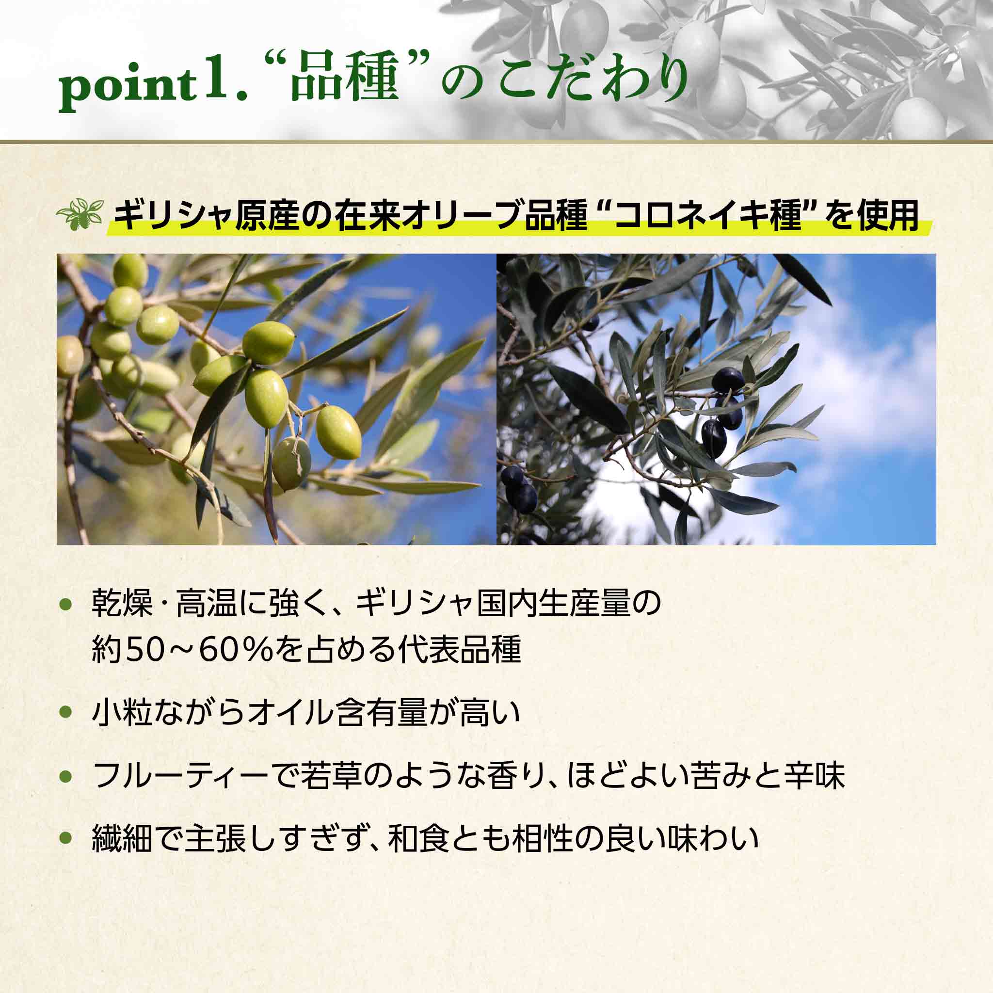 【バラOK】緑エール　SYセット 小豆島産 手摘み 限定 搾りたて出荷 ピクアル種 135g ｜ 井上誠耕園