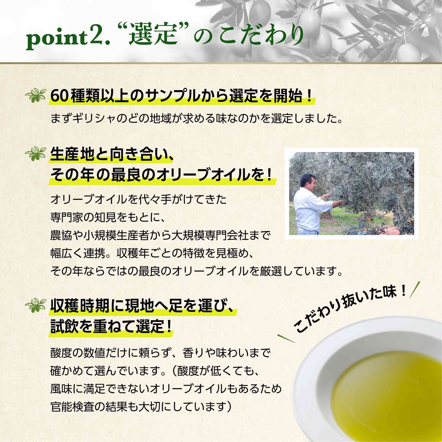 そらみつ EX山のオリーバ