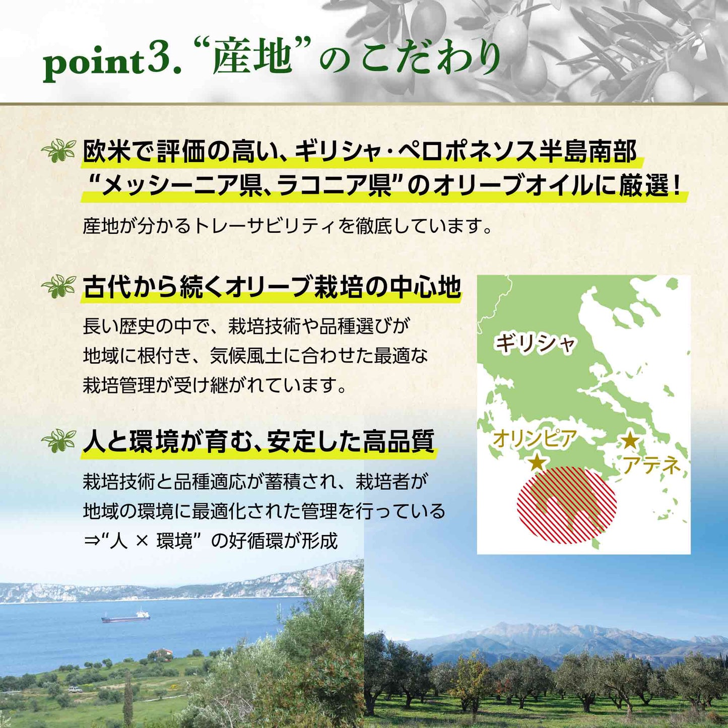 【 お試しセット - 送料無料 】EX海のオリーバ 229g、EX山のオリーバ 229g、バルサミコ250ml、グリーンオリーブ種ぬき、ハーブミックスforミート【 １お届け先に１つのお試し価格 】