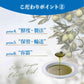 Soramitsu EX Sea Olive