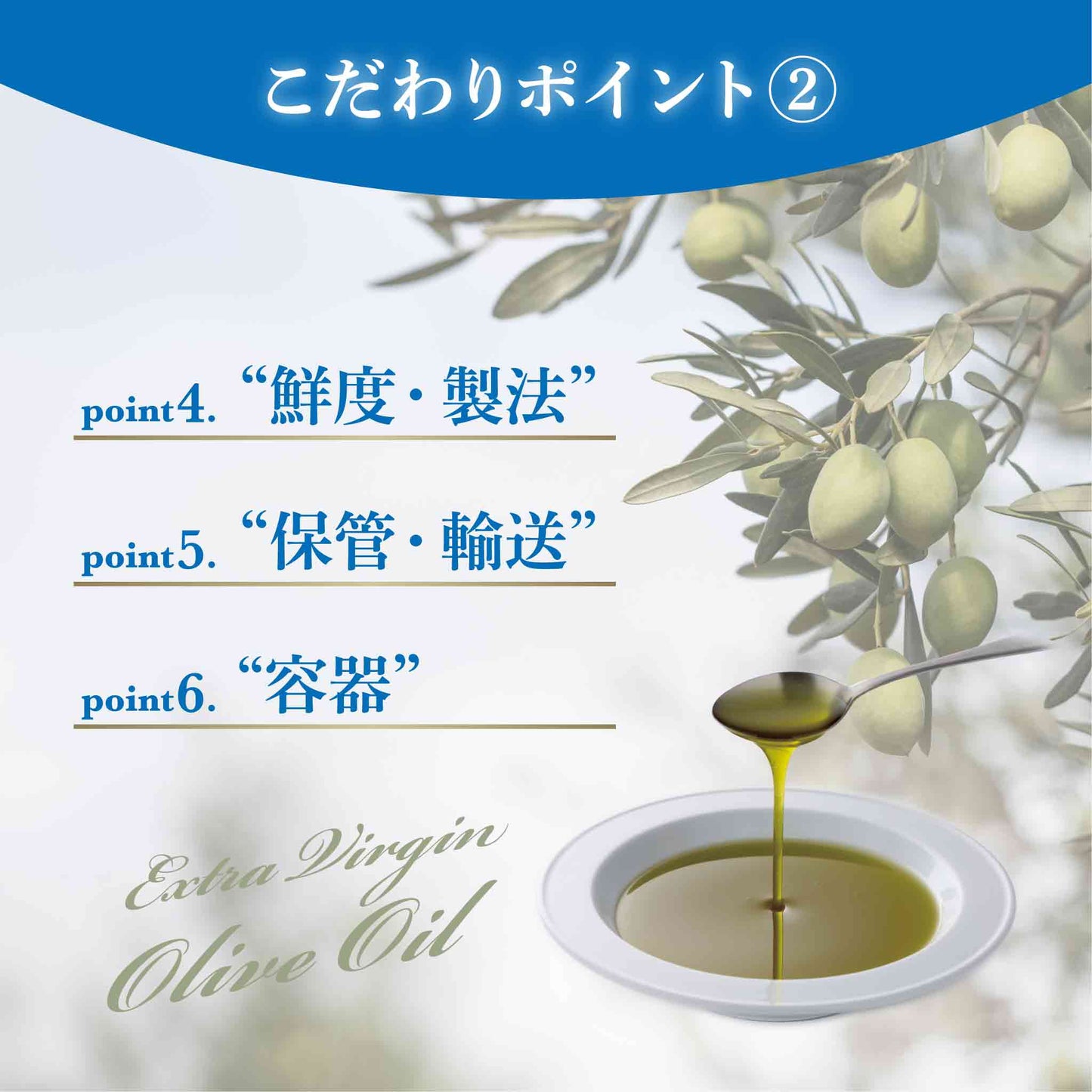 Soramitsu EX Sea Olive