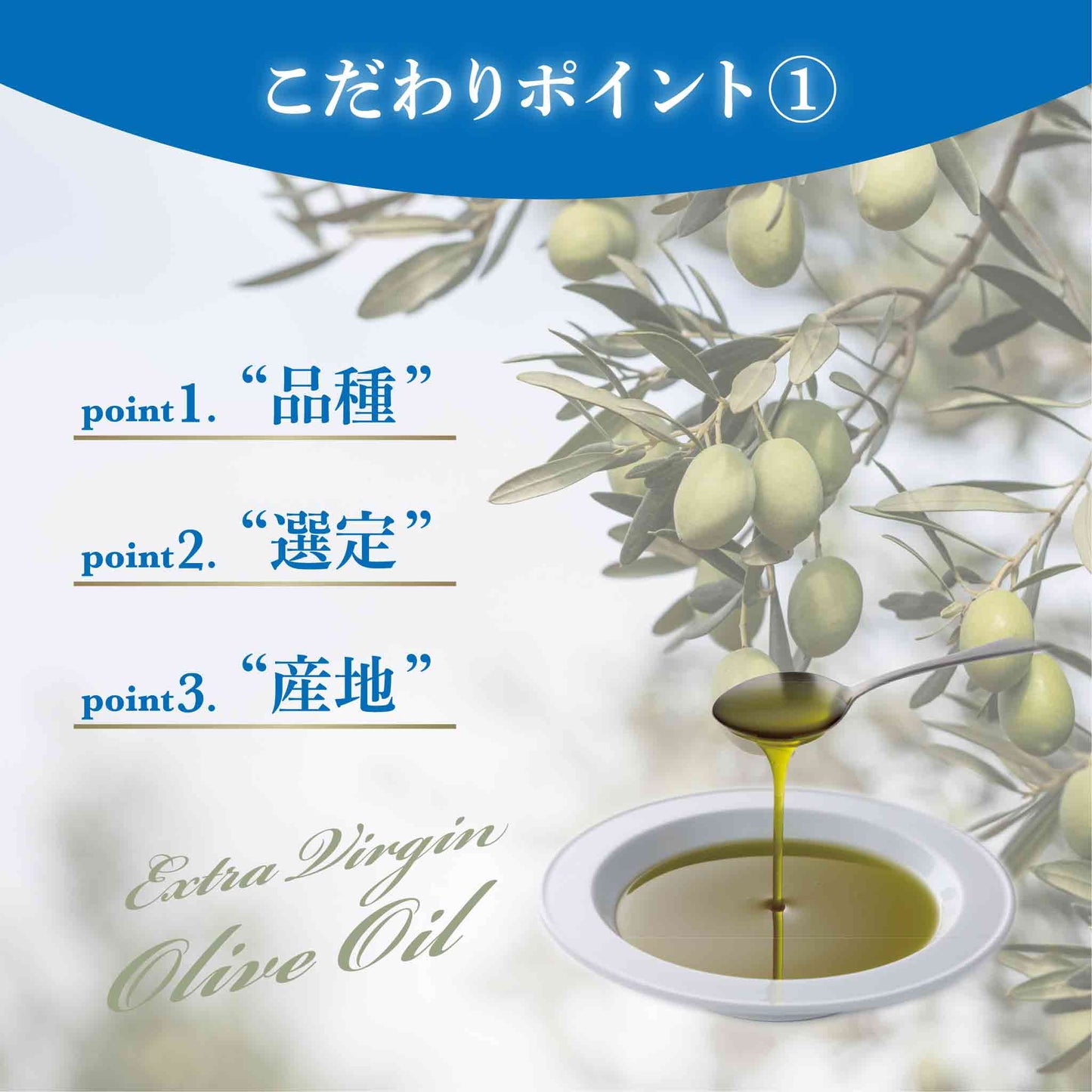 Soramitsu EX Sea Olive