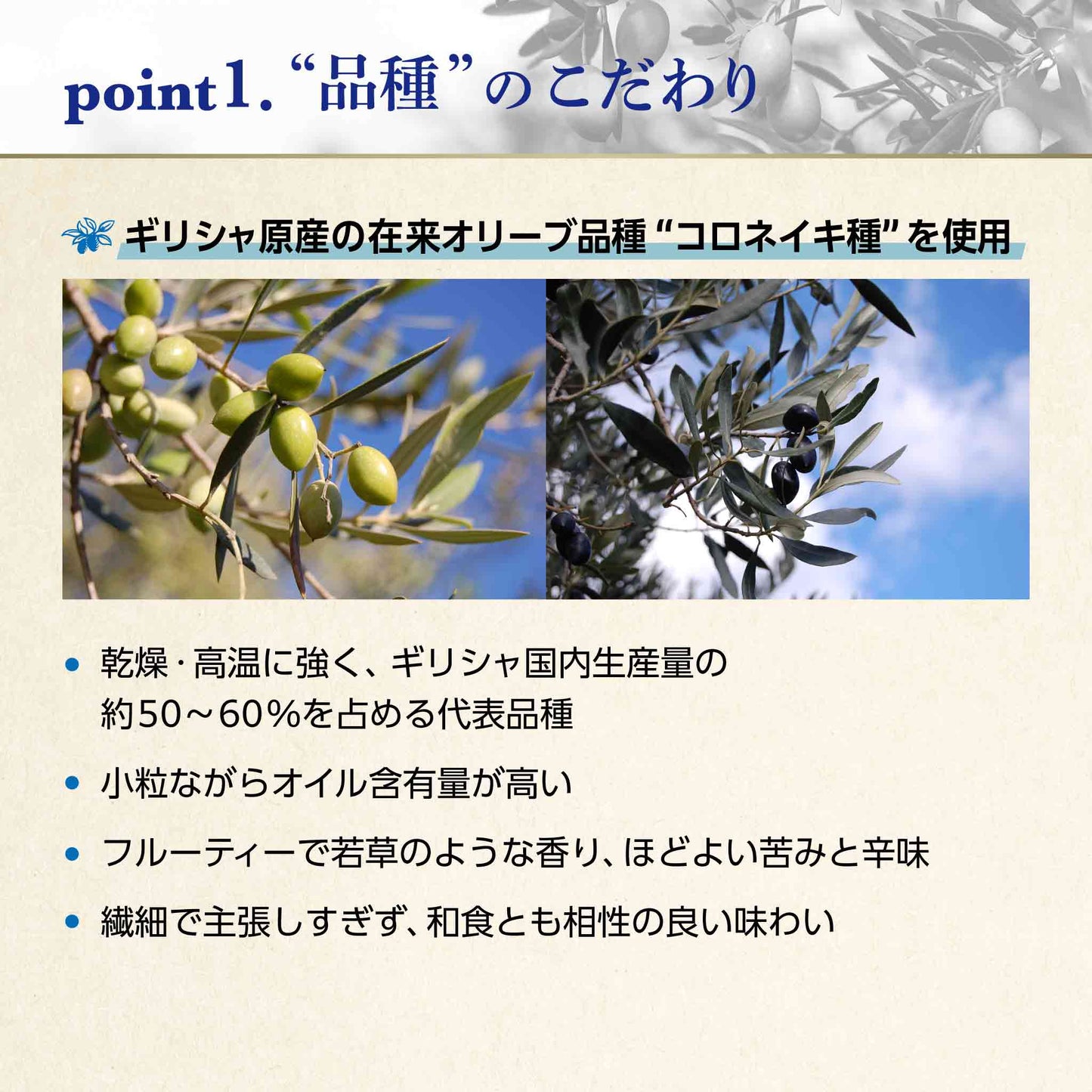 Soramitsu EX Sea Olive