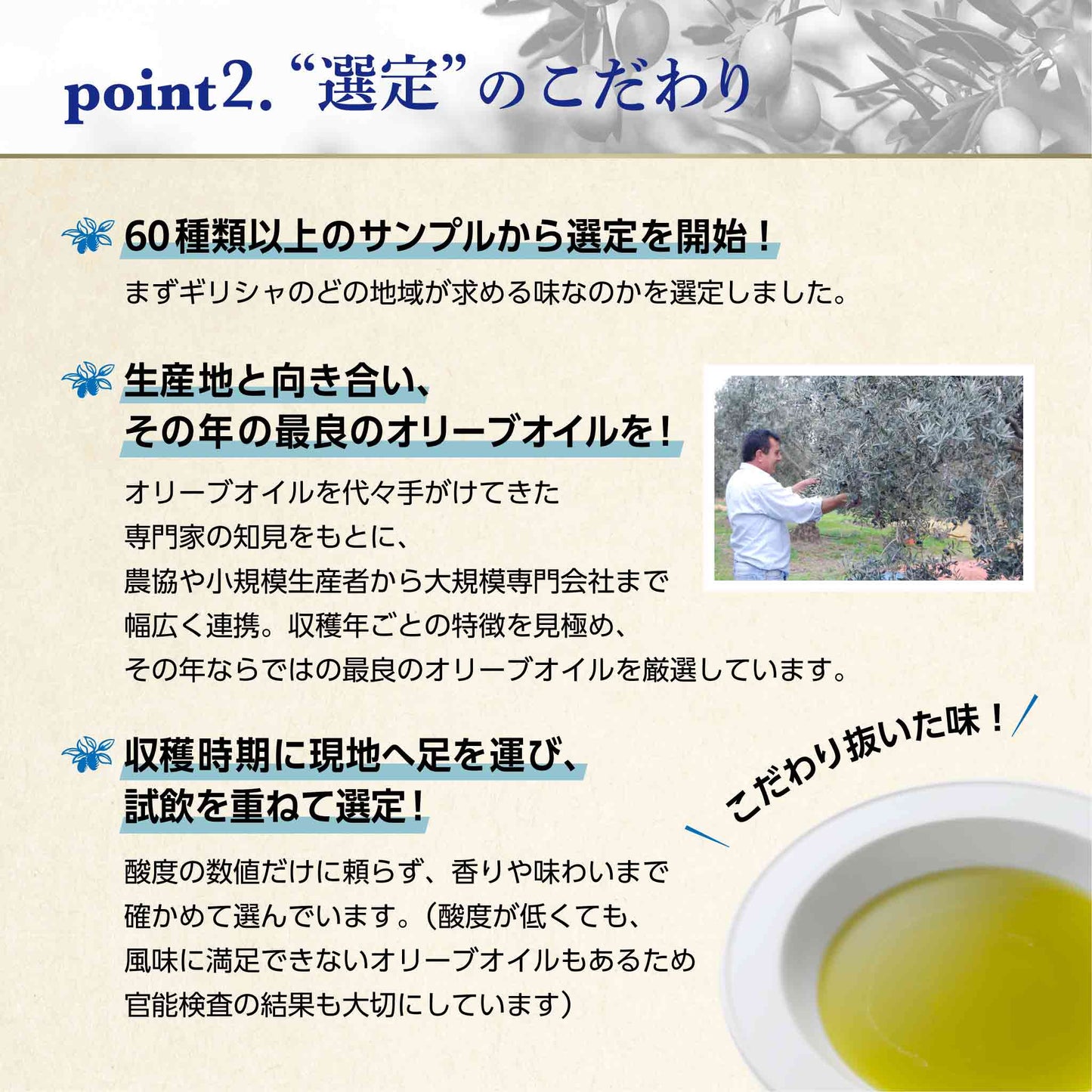 Soramitsu EX Sea Olive