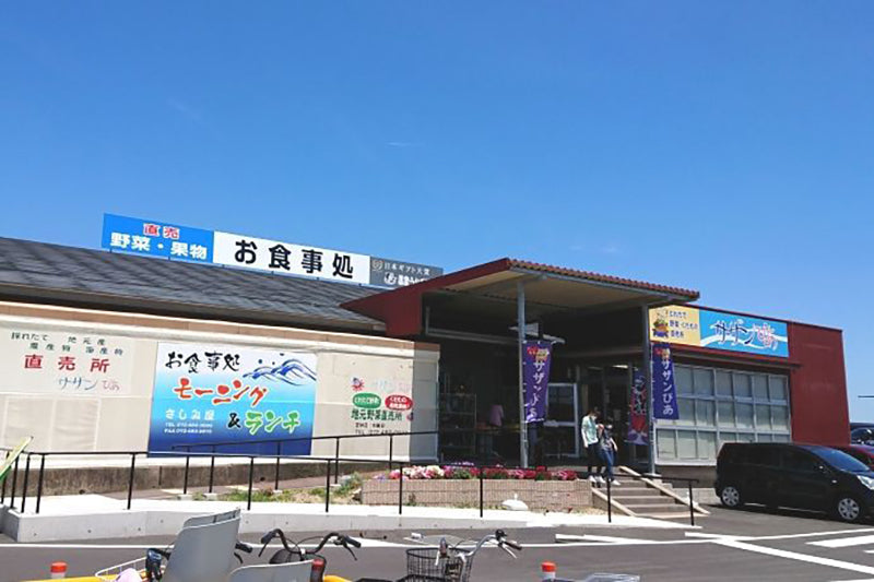 Soramitsu EX Mountain Oliver