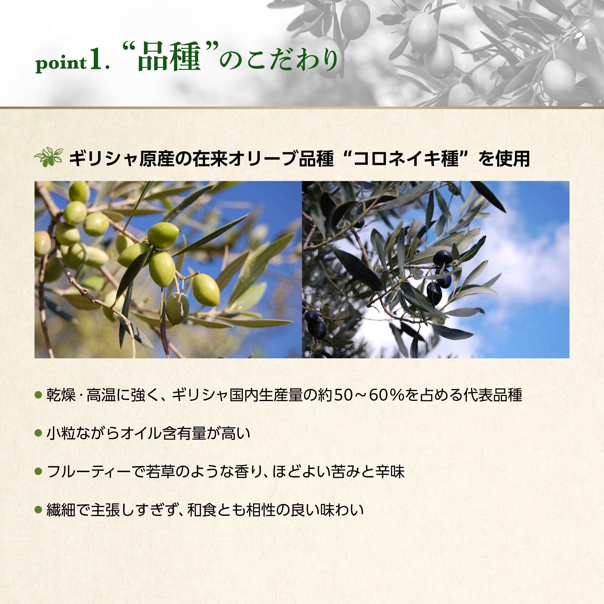EX海・山のオリーバ ・オリーバオーガニック 3本セット（ 化粧箱入り
