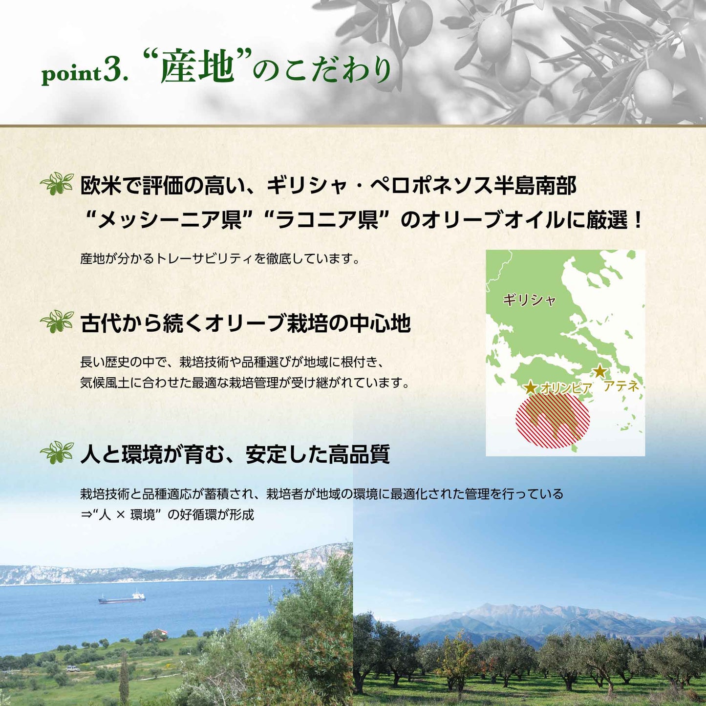 EX Sea and Mountain Oliva 3-bottle set (presented in a gift box)